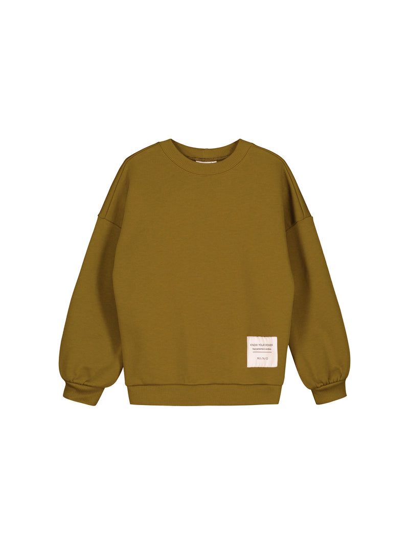 Superpower sweatshirt, capers, kids