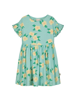 Midsummer Rose Dress, sky