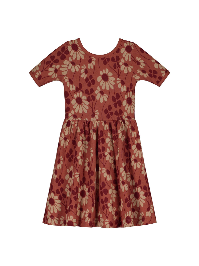 Galactic Fields Jacquard Dress