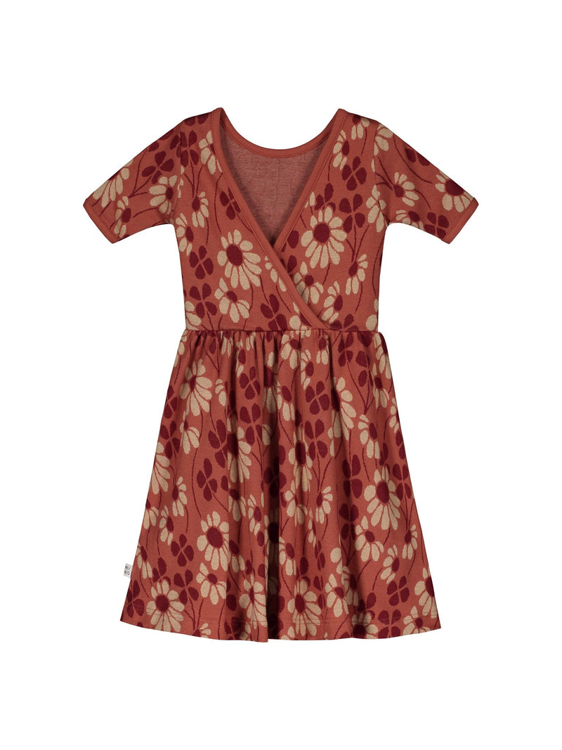 Galactic Fields Jacquard Dress