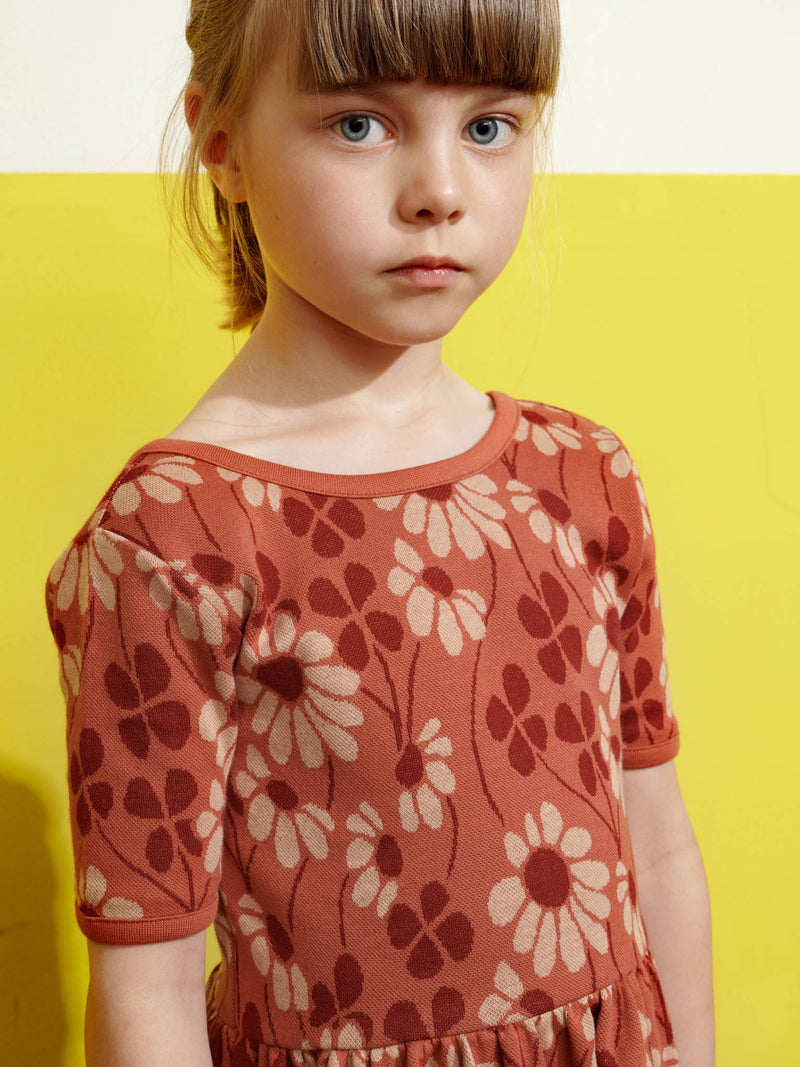 Galactic Fields Jacquard Dress