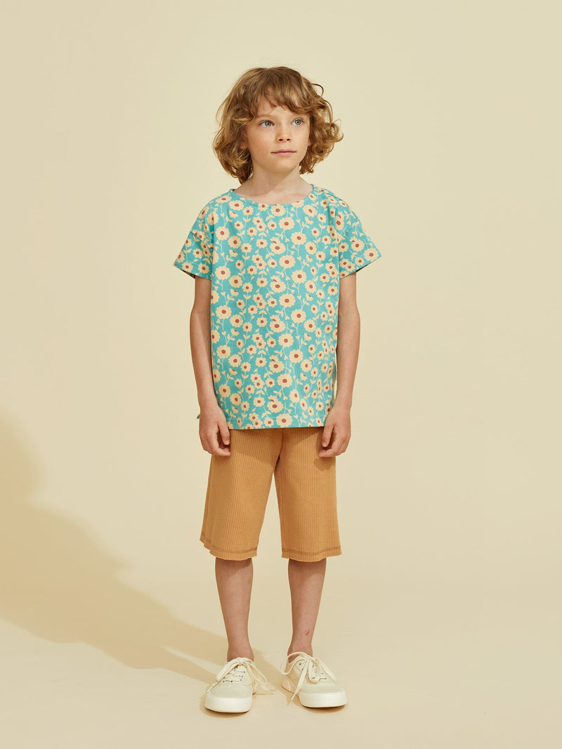 Sirius Rib Shorts